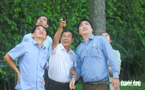Chăm sóc cây xanh lâu năm trong đô thị: Giữ bất an, cắt sợ dư luận - Ảnh 1. Chăm sóc cây xanh lâu năm trong đô thị: Giữ bất an, cắt sợ dư luận - Ảnh 1.