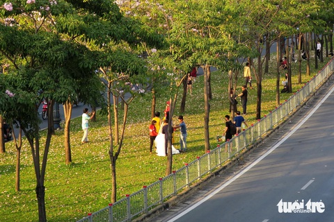Chăm sóc cây xanh lâu năm trong đô thị: Giữ bất an, cắt sợ dư luận - Ảnh 4. Chăm sóc cây xanh lâu năm trong đô thị: Giữ bất an, cắt sợ dư luận - Ảnh 4.