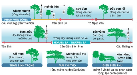 Chăm sóc cây xanh lâu năm trong đô thị: Giữ bất an, cắt sợ dư luận - Ảnh 5. Chăm sóc cây xanh lâu năm trong đô thị: Giữ bất an, cắt sợ dư luận - Ảnh 5.