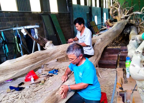 Cận cảnh cây dó bầu trăm năm phát trầm có giá hàng chục tỉ đồng ở Phú Quốc - Ảnh 1.