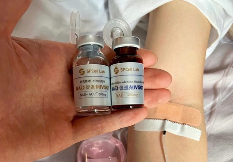 Sự thật phương pháp truyền năng lượng NAD+ trị bách bệnh - Ảnh 3. Sự thật phương pháp truyền năng lượng NAD+ trị bách bệnh - Ảnh 3.