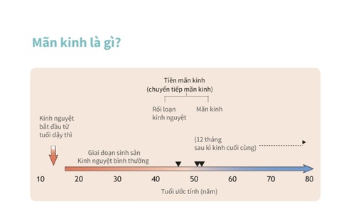 Mãn kinh không đơn giản chỉ là không còn ‘đèn đỏ’ - Ảnh 2.