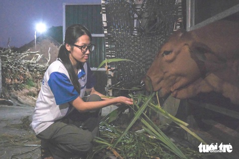 Đậu lớp tài năng hóa học, mong tìm phương thuốc chữa tim cho mẹ - Ảnh 2. Đậu lớp tài năng hóa học, mong tìm phương thuốc chữa tim cho mẹ - Ảnh 2.