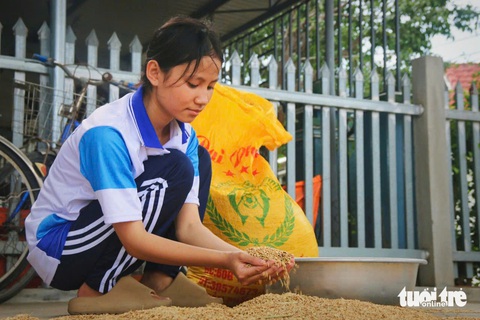 Nữ sinh mồ côi quyết học tập để có tiền chữa bệnh cho bà - Ảnh 3. Nữ sinh mồ côi quyết học tập để có tiền chữa bệnh cho bà - Ảnh 3.