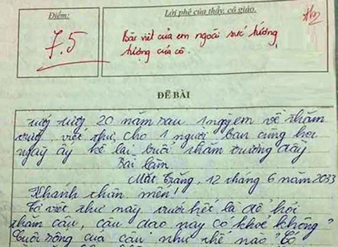 'Cười chảy nước mắt' với những bài văn bá đạo của học trò - Ảnh 2.