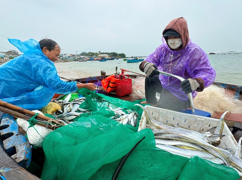 'Bão vào, sóng to cá mới nhiều' bà con bất chấp lệnh cấm ra biển đánh bắt. - Ảnh 5.