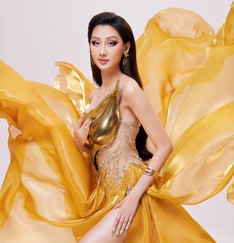 Nhà thiết kế Việt có 20 chiếc đầm xuất hiện tại Miss Grand International 2024 - Ảnh 3. Nhà thiết kế Việt có 20 chiếc đầm xuất hiện tại Miss Grand International 2024 - Ảnh 1.