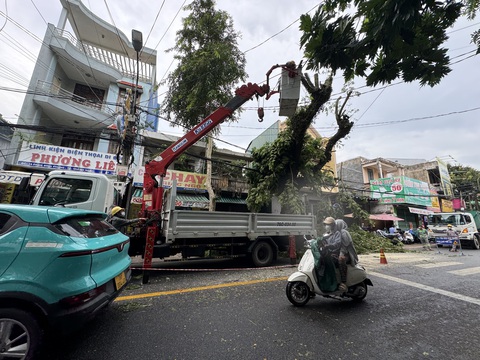 Quảng Ngãi hỏa tốc dừng họp không cần thiết, tập trung chống bão Trà Mi - Ảnh 4.