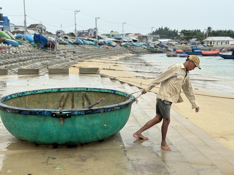 Vẫn có ngư dân ra biển đánh bắt lúc bão Trà Mi đổ bộ vào đất liền - Ảnh 2.