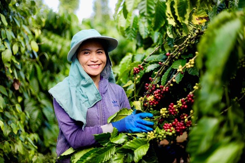 Xuất khẩu cà phê, gỗ, thủy sản tăng mạnh, ngành nông nghiệp hướng tới mục tiêu 70 tỉ USD - Ảnh 2.
