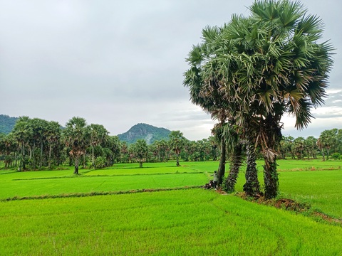 Về An Giang mùa nước nổi, lòng như muốn reo vui - Ảnh 1. VỀ AN GIANG MÙA NƯỚC NỔI - Ảnh 1.
