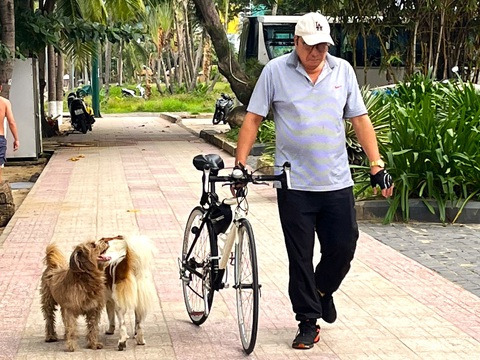 Chó thả rông tràn lan ở bờ biển Nha Trang, du khách mong có thêm đội bắt chó thả rông - Ảnh 1. Chó thả rông tràn lan ở bờ biển Nha Trang, du khách mong có thêm đội bắt chó thả rông - Ảnh 1.