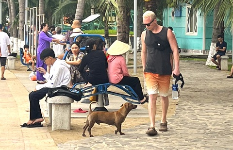 Tin tức sáng 14-12: Doanh nghiệp lọc dầu tỉ đô duy nhất của Việt Nam lên sàn HoSE - Ảnh 2. Tin tức sáng 14-12: Doanh nghiệp lọc dầu tỉ đô duy nhất của Việt Nam lên sàn HoSE - Ảnh 2.
