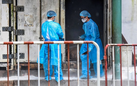 Hổ, báo chết do nhiễm A/H5N1: Yêu cầu tạm 'đóng cửa' vườn thú Mỹ Quỳnh và khu du lịch vườn Xoài - Ảnh 1. Hổ, báo chết do nhiễm A/H5N1: Đề nghị Long An, Đồng Nai tạm đóng cửa vườn thú, khu du lịch - Ảnh 1.