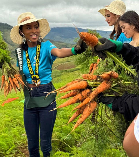 Miss Earth 2024 hướng đến hoạt động bảo vệ môi trường, top 10 bình chọn vắng mặt Việt Nam - Ảnh 3. Miss Earth - Ảnh 3.