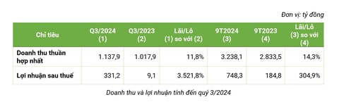 Bamboo Capital: doanh thu 3.238 tỷ, lợi nhuận 748 tỷ trong 9 tháng đầu năm - Ảnh 2.
