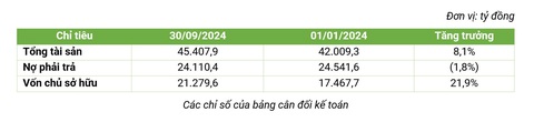 Bamboo Capital: doanh thu 3.238 tỷ, lợi nhuận 748 tỷ trong 9 tháng đầu năm - Ảnh 3.