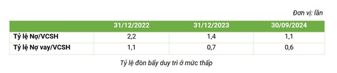 Bamboo Capital: doanh thu 3.238 tỷ, lợi nhuận 748 tỷ trong 9 tháng đầu năm - Ảnh 4.