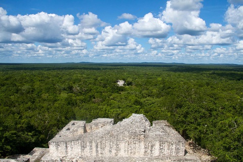 Thành phố cổ Maya được tìm thấy trong rừng rậm Mexico - Ảnh 1.