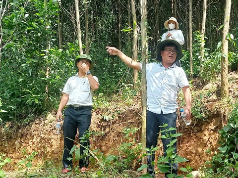 Vết nứt hình cánh cung ở núi Mang Kà Muồng có thể sạt lở bất cứ lúc nào - Ảnh 1.