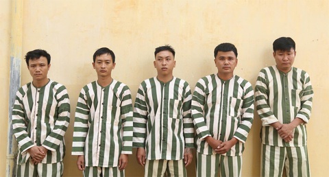 Bằng thạc sĩ, đại học… không cần học, lên mạng đầy bằng giả - Ảnh 1. Triệt phá đường dây làm bằng giả, giấy tờ giả quy mô lớn - Ảnh 1.