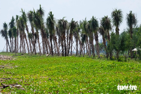 Cần Giờ - Ảnh 3.