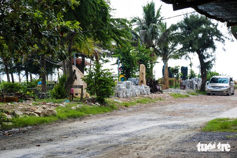 - Ảnh 5.