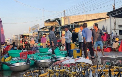 Tiền lệ phí buôn bán trong cảng cá tăng 'chống mặt', người dân mất ăn mất ngủ - Ảnh 4.
