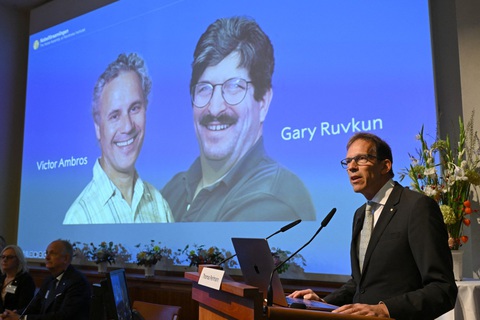 Nobel y sinh vinh danh nghiên cứu về điều hòa gene - Ảnh 1. Nobel y sinh vinh danh nghiên cứu về điều hòa gene - Ảnh 1.