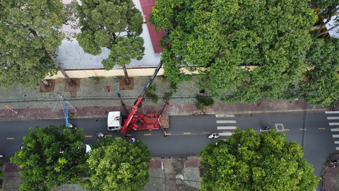 Nhiều giải pháp hay giúp Trà Vinh vừa giữ được cây xanh vừa phát triển hạ tầng giao thông - Ảnh 1.