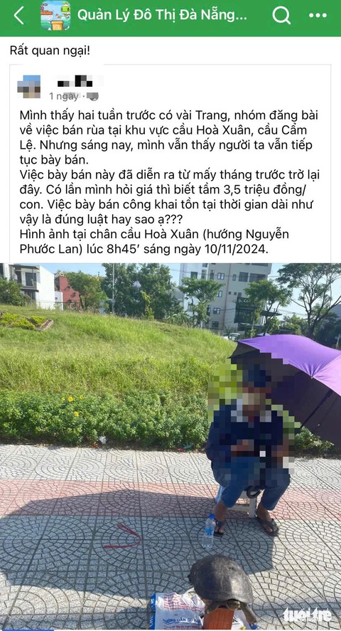 Lộn xộn cảnh rao bán ‘rùa bắt ở sông, suối’ trên vỉa hè Đà Nẵng - Ảnh 3.