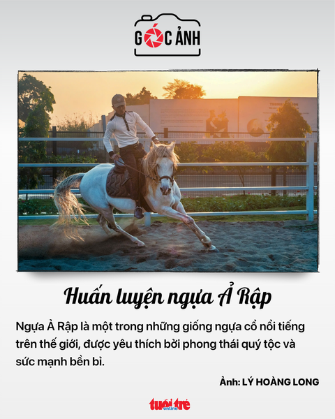 Tin tức sáng 12-11: Tân Tạo nói không có công ty nào dám kiểm toán cho họ - Ảnh 8.
