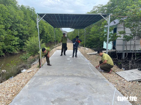 Phát hiện 3 vụ phá rừng có dấu hiệu hình sự - Ảnh 1.
