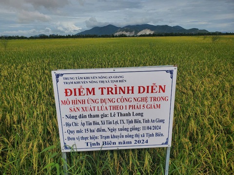 Tịnh Biên ứng dụng nhiều mô hình nông nghiệp công nghệ cao - Ảnh 1. Tịnh Biên ứng dụng nhiều mô hình nông nghiệp công nghệ cao - Ảnh 1.