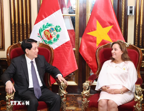 Việt Nam và Peru bắt đầu thảo luận nâng cấp quan hệ - Ảnh 1.
