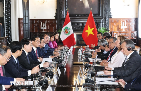Việt Nam và Peru bắt đầu thảo luận nâng cấp quan hệ - Ảnh 3.