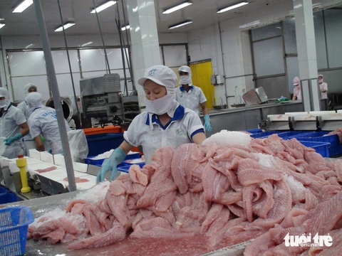 Xuất khẩu cá tra đạt 2 tỉ đô giữa khó khăn bủa vây người nuôi cá - Ảnh 2.