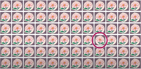 Thử tài tinh mắt: Con gấu Bắc Cực ẩn giấu ở đâu? - Ảnh 1.