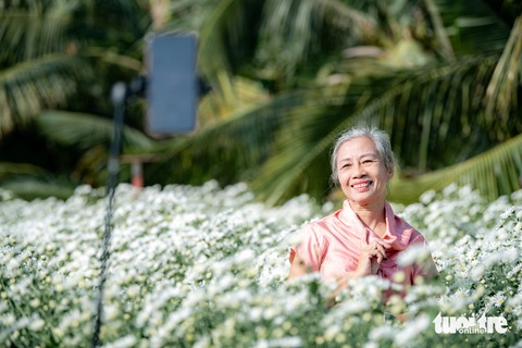 Kiếm hàng triệu đồng mỗi buổi nhờ chụp ảnh cúc họa mi - Ảnh 8. Thiếu nữ Hà thành xúng xính bên cúc họa mi gọi gió đông - Ảnh 8.