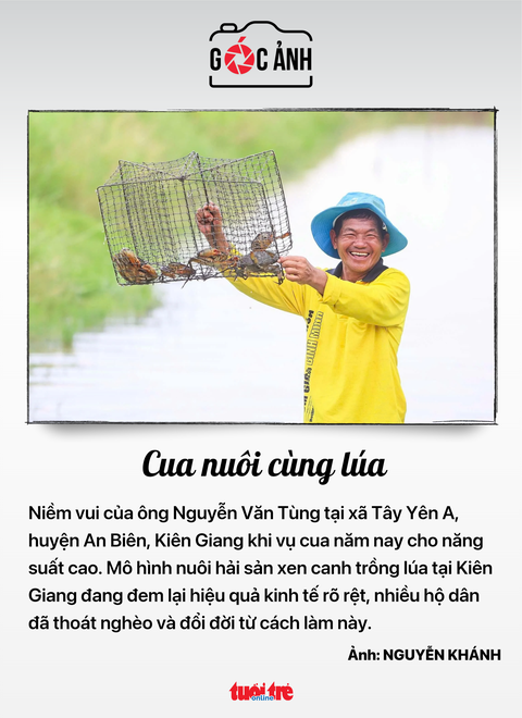 Tin tức sáng 21-11: Ngân hàng dồn dập tăng lãi suất tiết kiệm; Tính trợ cấp thất nghiệp như nào? - Ảnh 10.