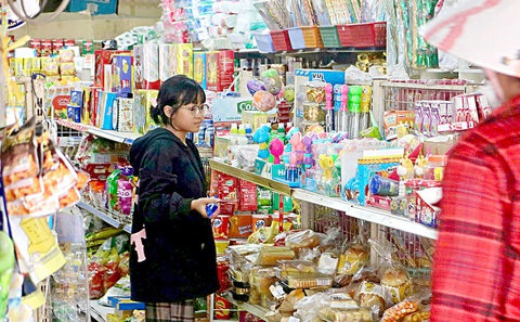 Buôn bán nhỏ chỉ là đắp đổi qua ngày - Ảnh 2. Buôn bán nhỏ chỉ là đắp đổi qua ngày - Ảnh 2.