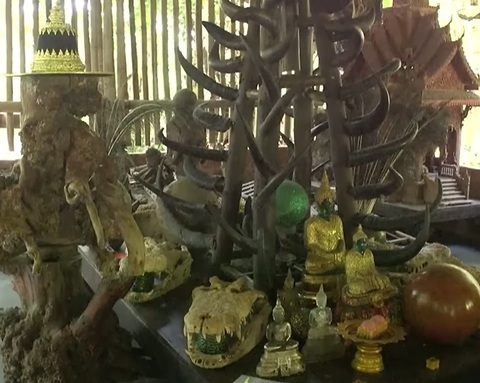 Tu viện Phật giáo ở Thái Lan dùng 41 thi thể để thiền định - Ảnh 2. Tu viện Phật giáo ở Thái Lan dùng 41 thi thể để thiền định - Ảnh 2.