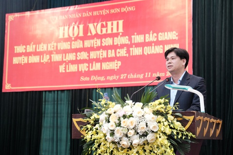 3 huyện vùng cao của 3 tỉnh vùng Đông Bắc bàn kế làm giàu từ rừng, xuất khẩu gỗ đi Nhật Bản - Ảnh 3. 3 huyện vùng cao của 3 tỉnh vùng Đông Bắc bàn kế làm giàu từ rừng, xuất khẩu gỗ đi Nhật Bản - Ảnh 3.