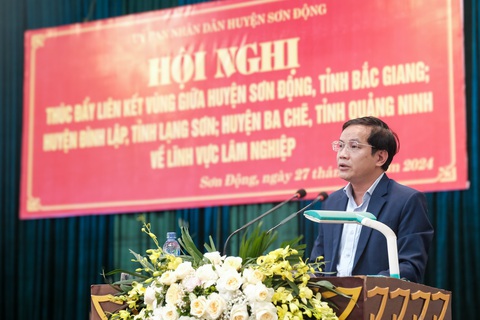 3 huyện vùng cao của 3 tỉnh vùng Đông Bắc bàn kế làm giàu từ rừng, xuất khẩu gỗ đi Nhật Bản - Ảnh 1. 3 huyện vùng cao bàn cách xuất khẩu gỗ đi Nhật Bản - Ảnh 1.