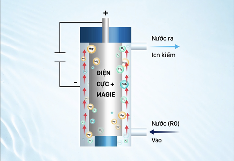 Daikiosan, Makano thương hiệu máy lọc nước ion kiềm duy nhất tại Việt Nam được cấp bằng độc quyền - Ảnh 2.