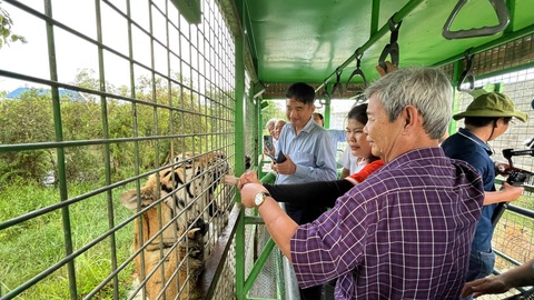 Về Long An 'săn hổ', thưởng thức đặc sản miền Tây - Ảnh 2. Về Long An 'săn hổ', thưởng thức đặc sản miền Tây - Ảnh 2.