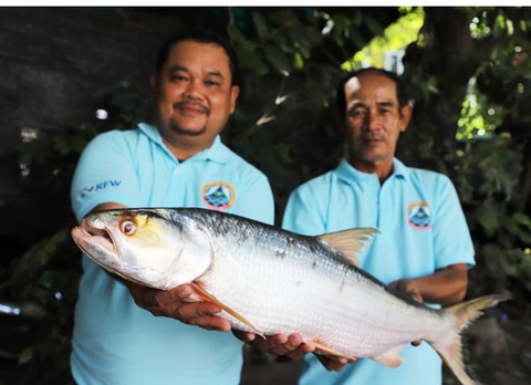'Ma sông Mekong' xuất hiện trở lại sau gần 20 năm - Ảnh 1. 'Ma sông Mekong' xuất hiện trở lại sau gần 20 năm - Ảnh 1.