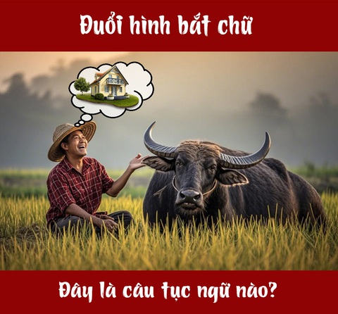 Đuổi hình bắt chữ: Đây là câu tục ngữ nào? - Ảnh 1.
