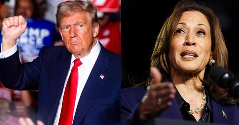Bàn về gu phim của Donald Trump và Kamala Harris trước thềm bầu cử Mỹ - Ảnh 1. Ông Donald Trump thích Cuốn theo chiều gió, bà Kamala Harris mê vũ trụ Marvel - Ảnh 1.