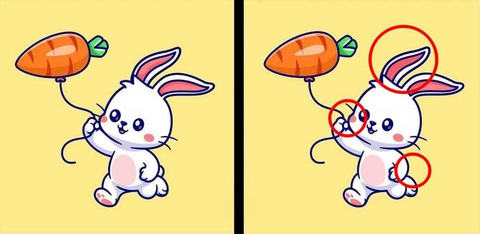 Thử tài tinh mắt: 3 con thỏ ẩn giấu ở đâu? - Ảnh 1.